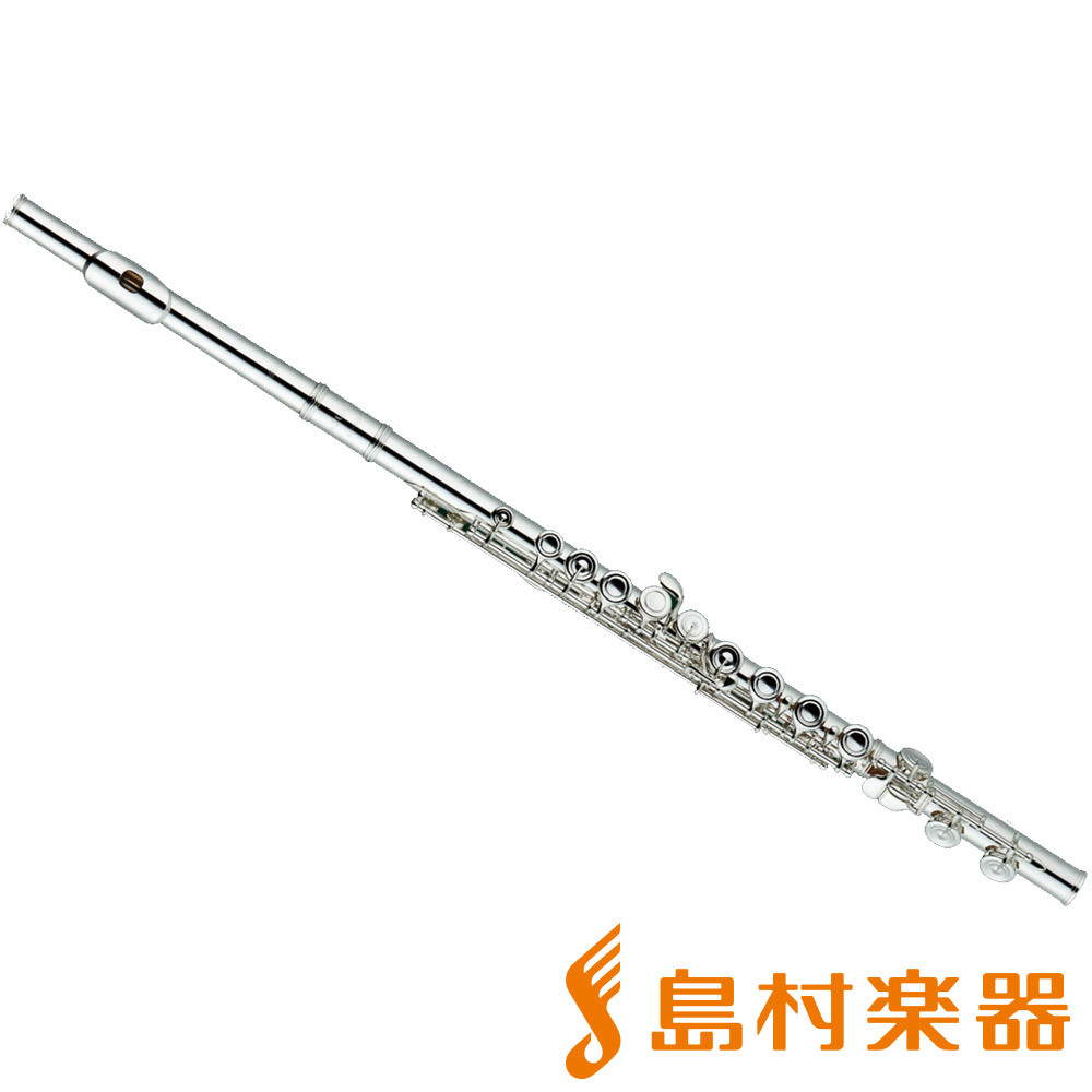 ピッコロ(メーカー刻印記載見当たらず:海外製試作品かと