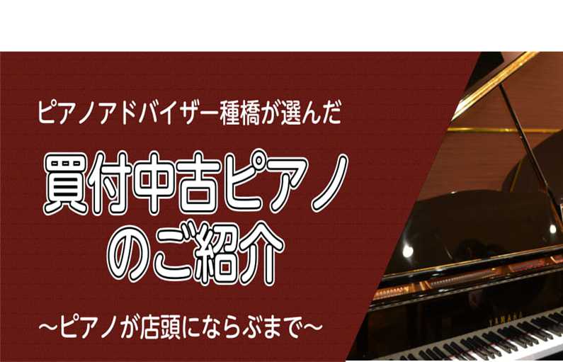 *～ピアノ担当種橋、ピアノの買付に行く～の巻 こんにちは。ピアノ担当の[#tanehashi:title=種橋（たねはし）]です。]]日々、店頭にならんでいるピアノが売れては入荷して…また売れては新しいピアノが入荷して…と繰り返されるわけですが、今回は[!!実際に私が買い付けに行ってまいりました！! […]