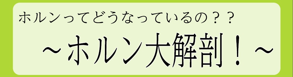 【リペアイベント】ホルンってどうなっているの？？～ホルン大解剖～