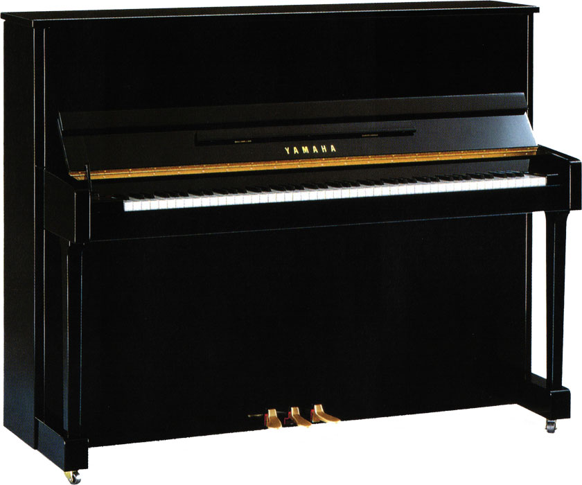 YAMAHAYM5