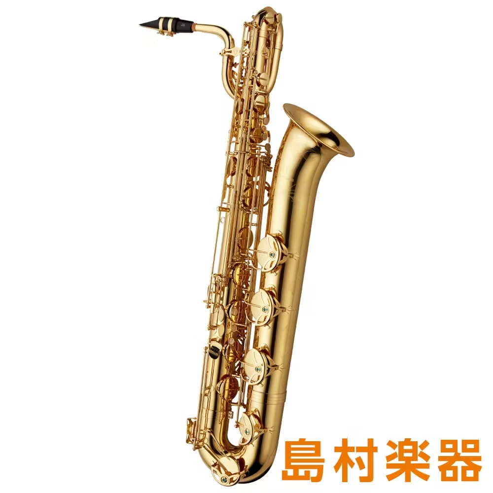 YANAGISAWAB-WO1
