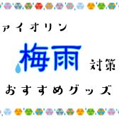 【ヴァイオリン】梅雨対策おすすめグッズ