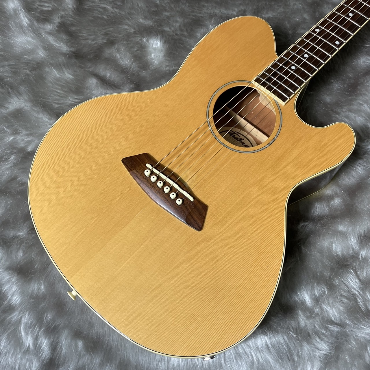 エレアコIbanezTalman/TCY10 NT 301【Soldout】