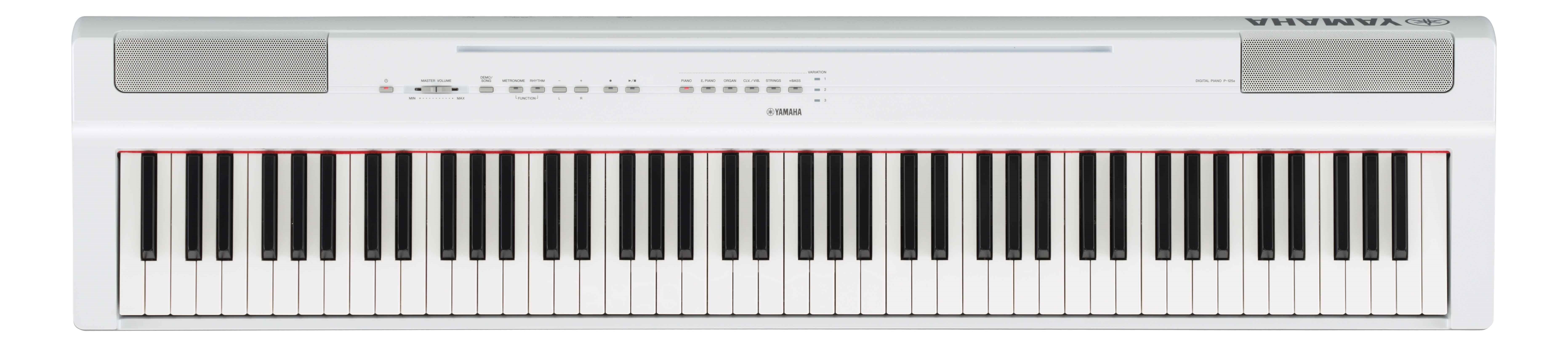 YAMAHAP-125a(生産完了品)
