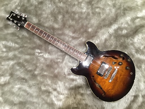 IbanezAM50