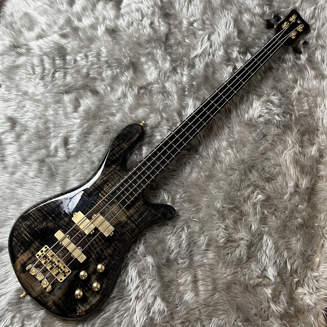 WarwickCS STREAMER LX4