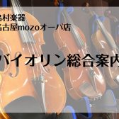【弦楽器総合案内】憧れのバイオリンを始めよう♪ご相談は島村楽器名古屋mozoオーパ店まで