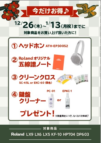 Roland<対象商品>HP704、DP603