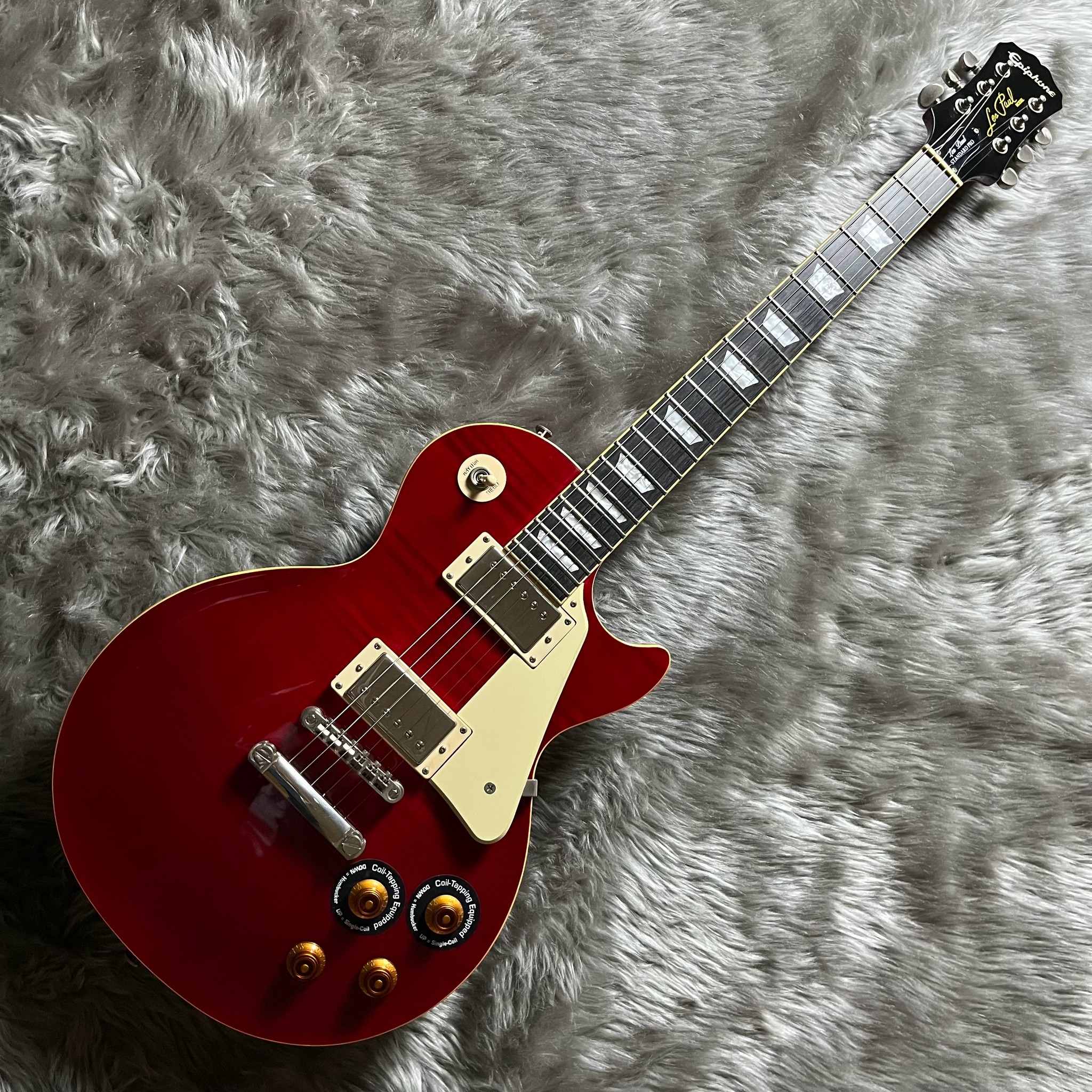 EpiphoneLes Paul Standard Pro
