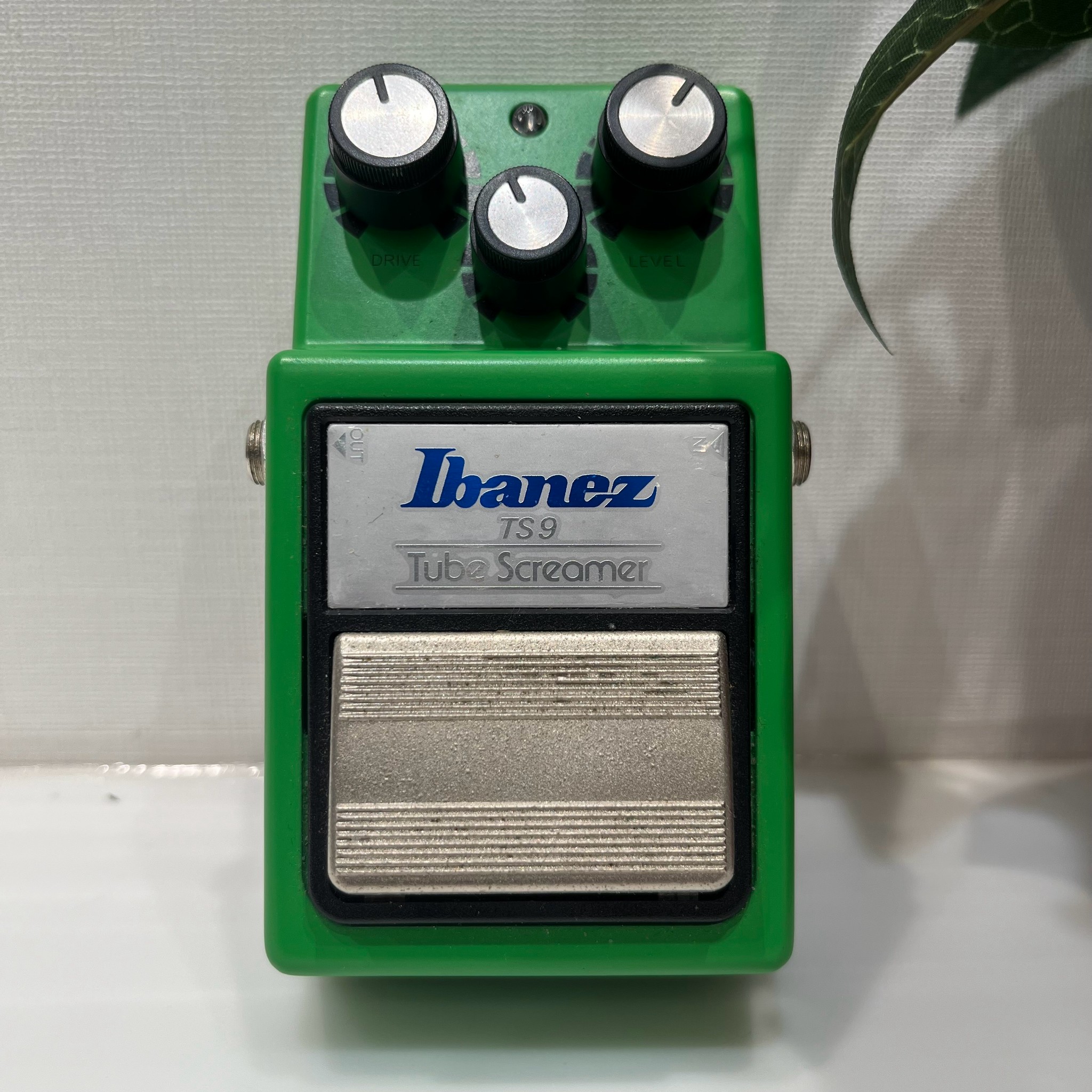IbanezTS9