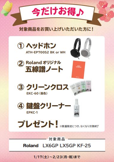 Roland<対象商品>LX5GP、LX6GP