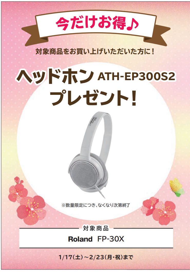 Roland<対象商品>FP-30X