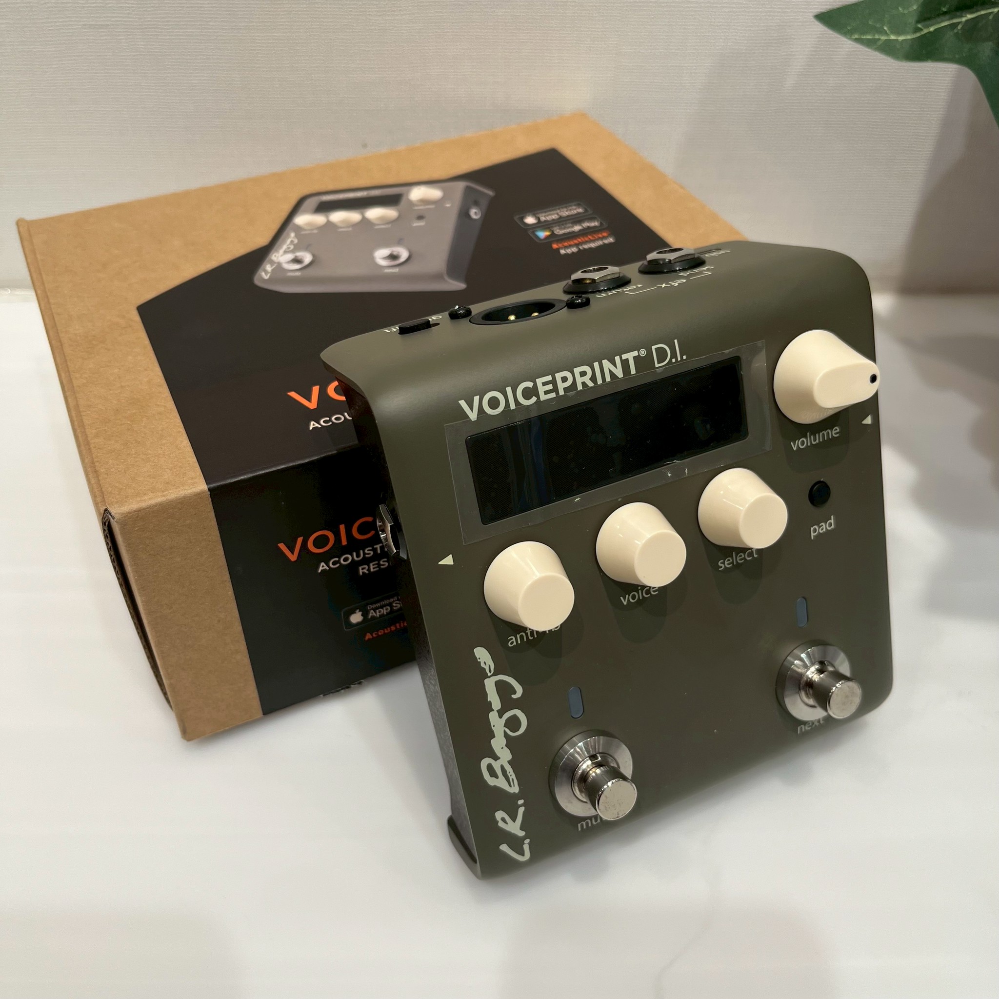 L.R.BaggsVoiceprint DI
