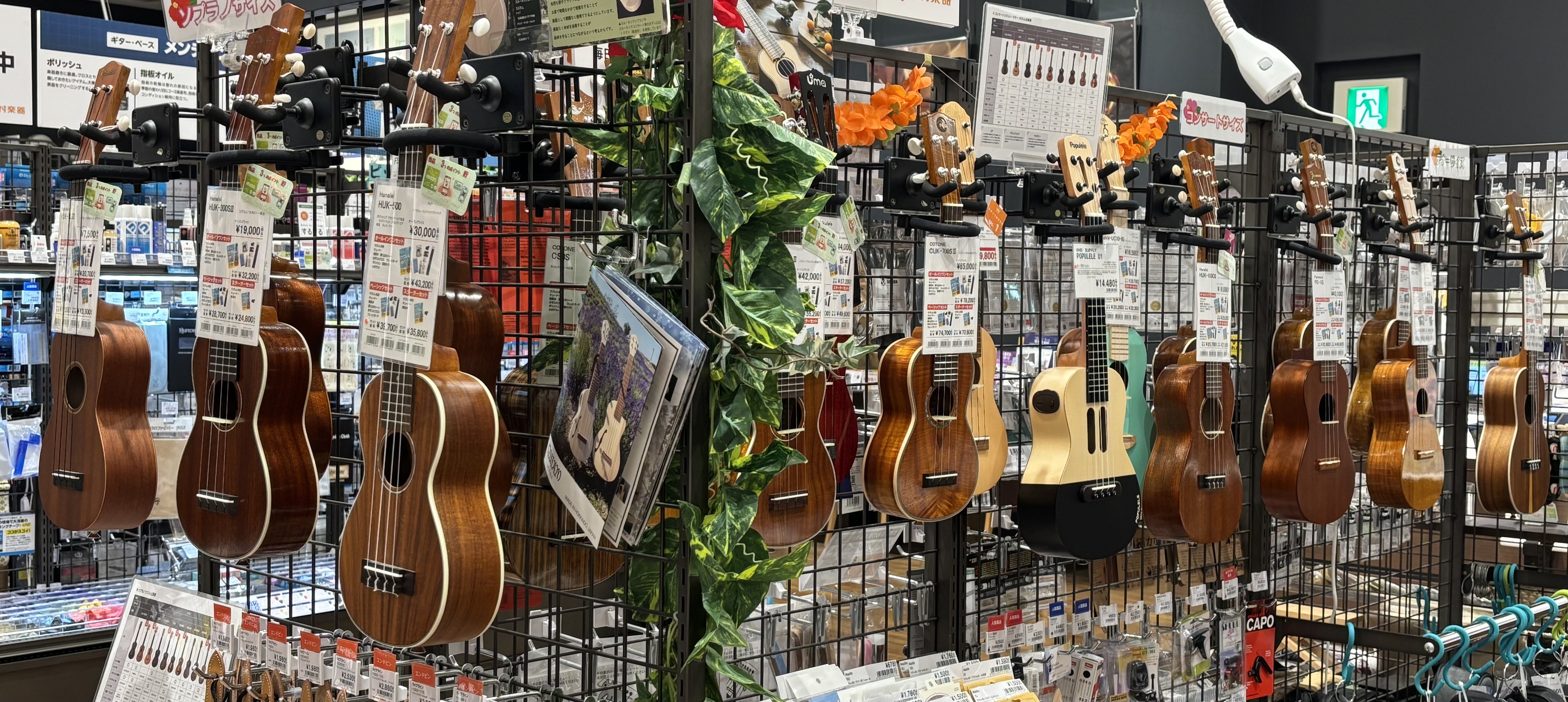 皆様こんにちは！名古屋mozoワンダーシティ店ウクレレ担当の谷崎です。「楽器なんて初めて…」という方へ！ウクレレは、たった3つのコードですぐに1曲弾けるようになる楽器です 手に取ったその日から、“音楽を楽しむ側”になれます！ 「指が動くか不安」「リズム感に自信がない」そんな方でも大丈夫です。 ウクレ [&hellip;]