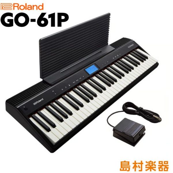 ROLAND:GO-61P<br />
￥46,200（税込）