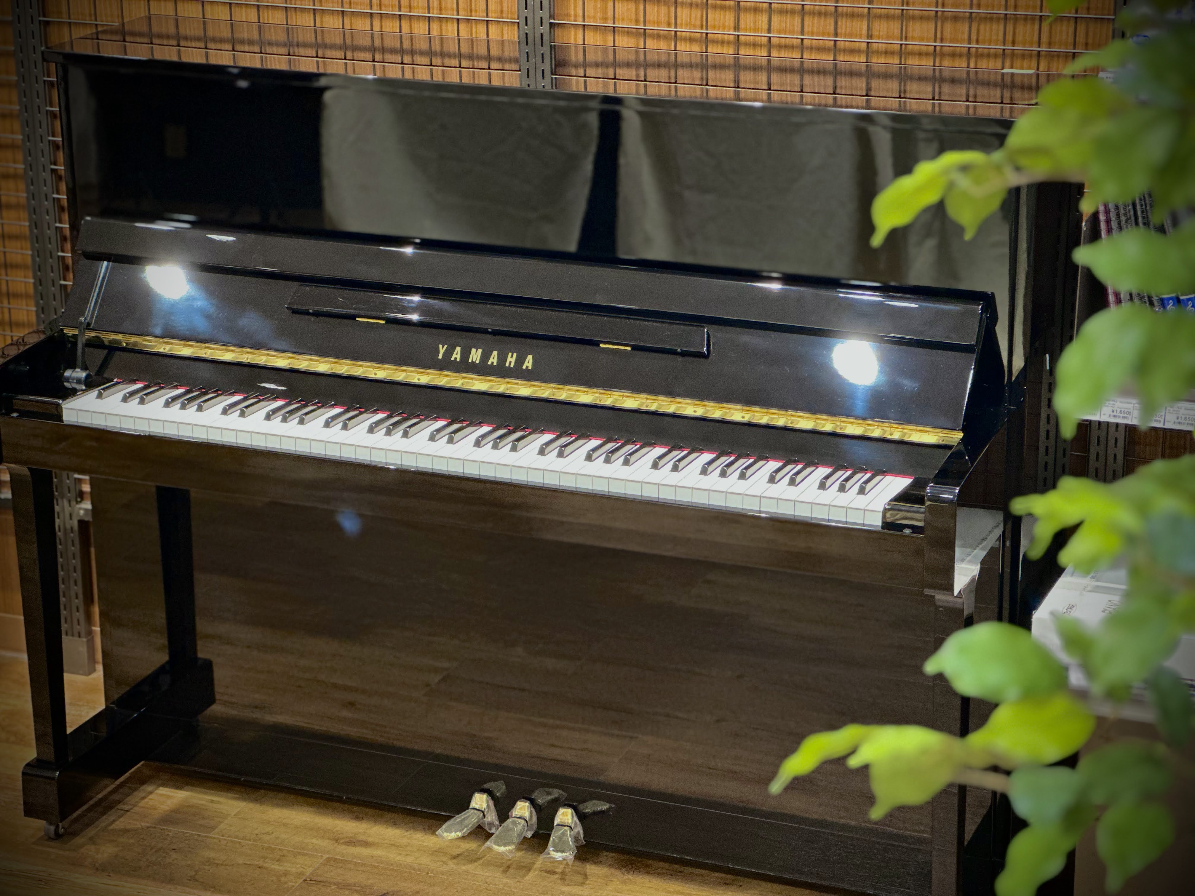 YAMAHA　YM5【売約済】