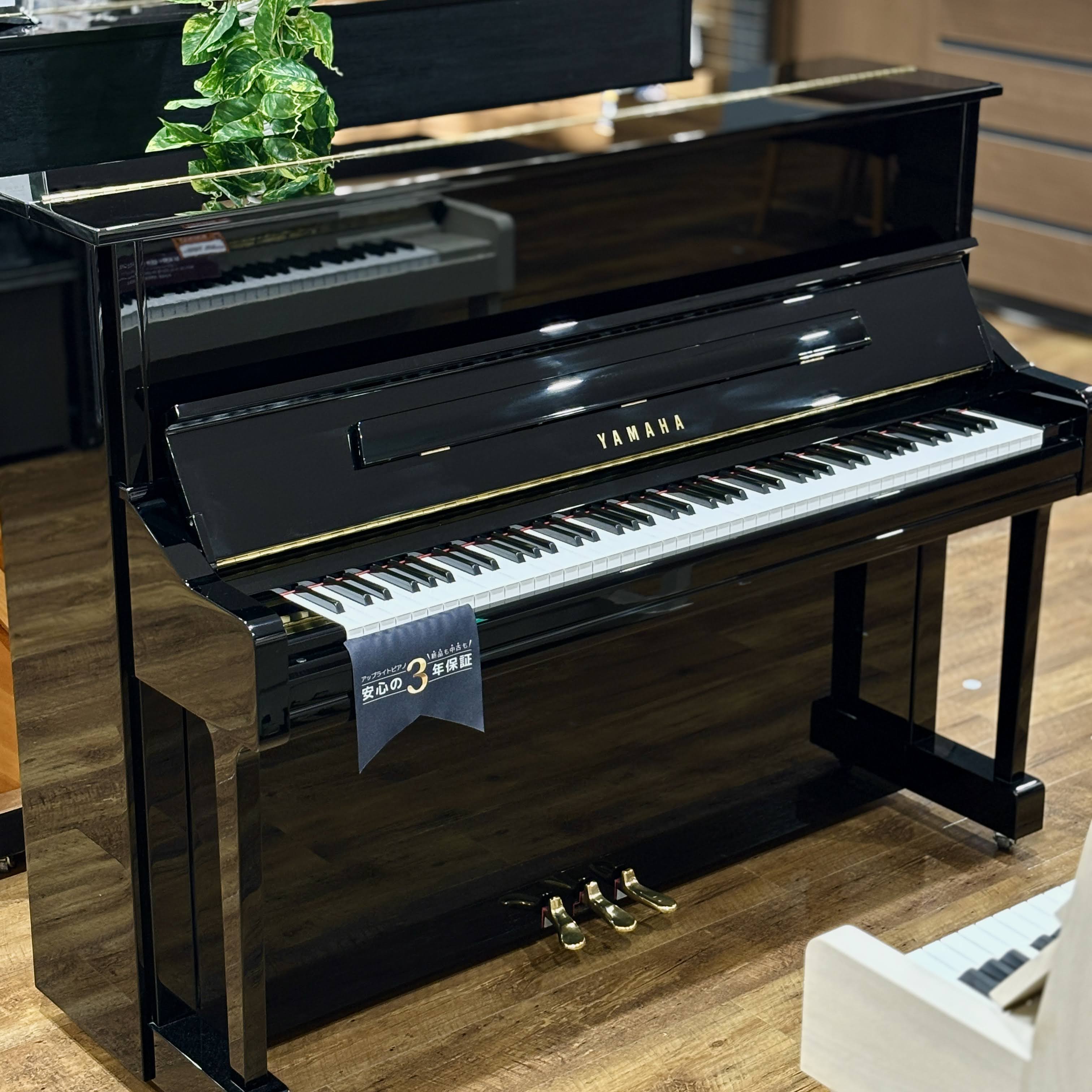 YAMAHA YU11