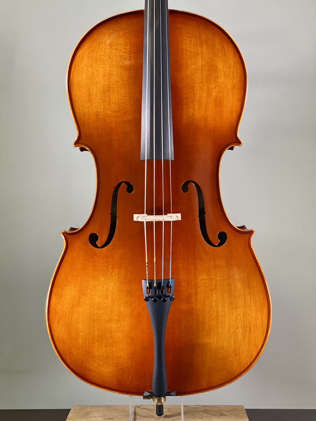 Eastman（イーストマン）VC100 SET