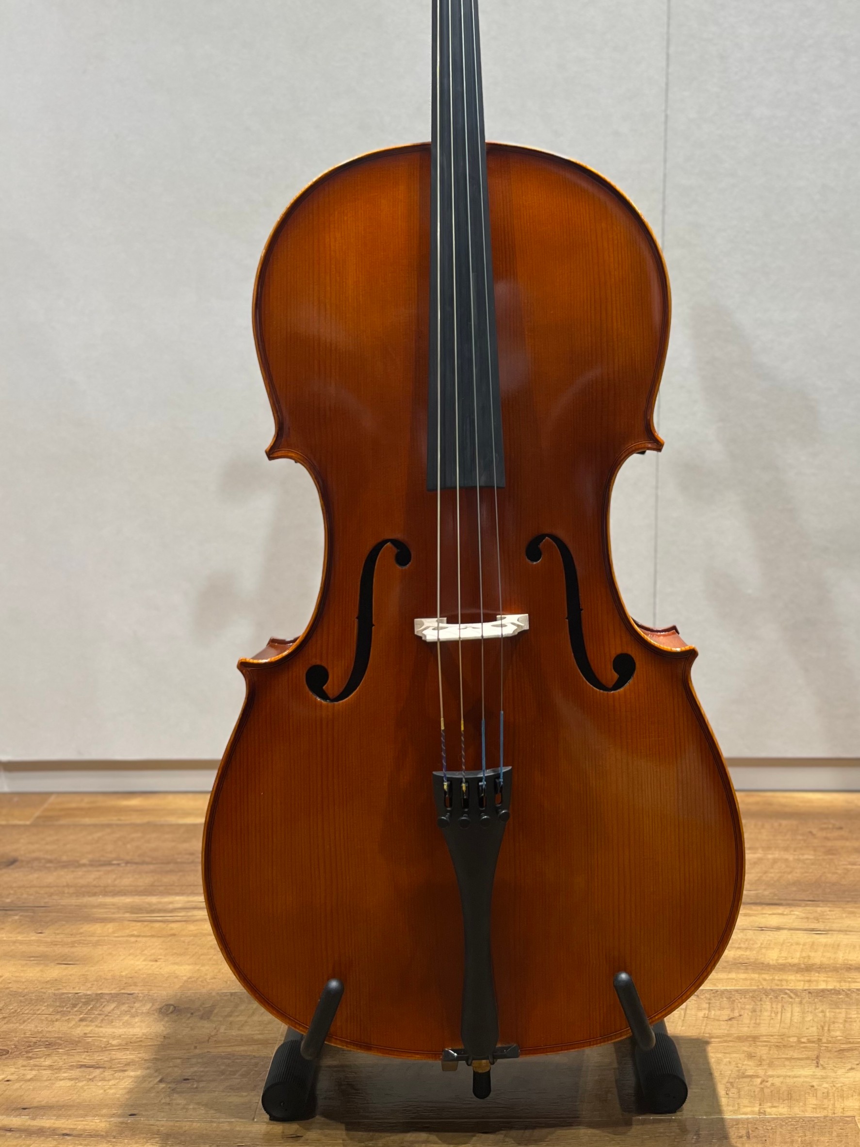 Eastman(イーストマン)VC100 SET