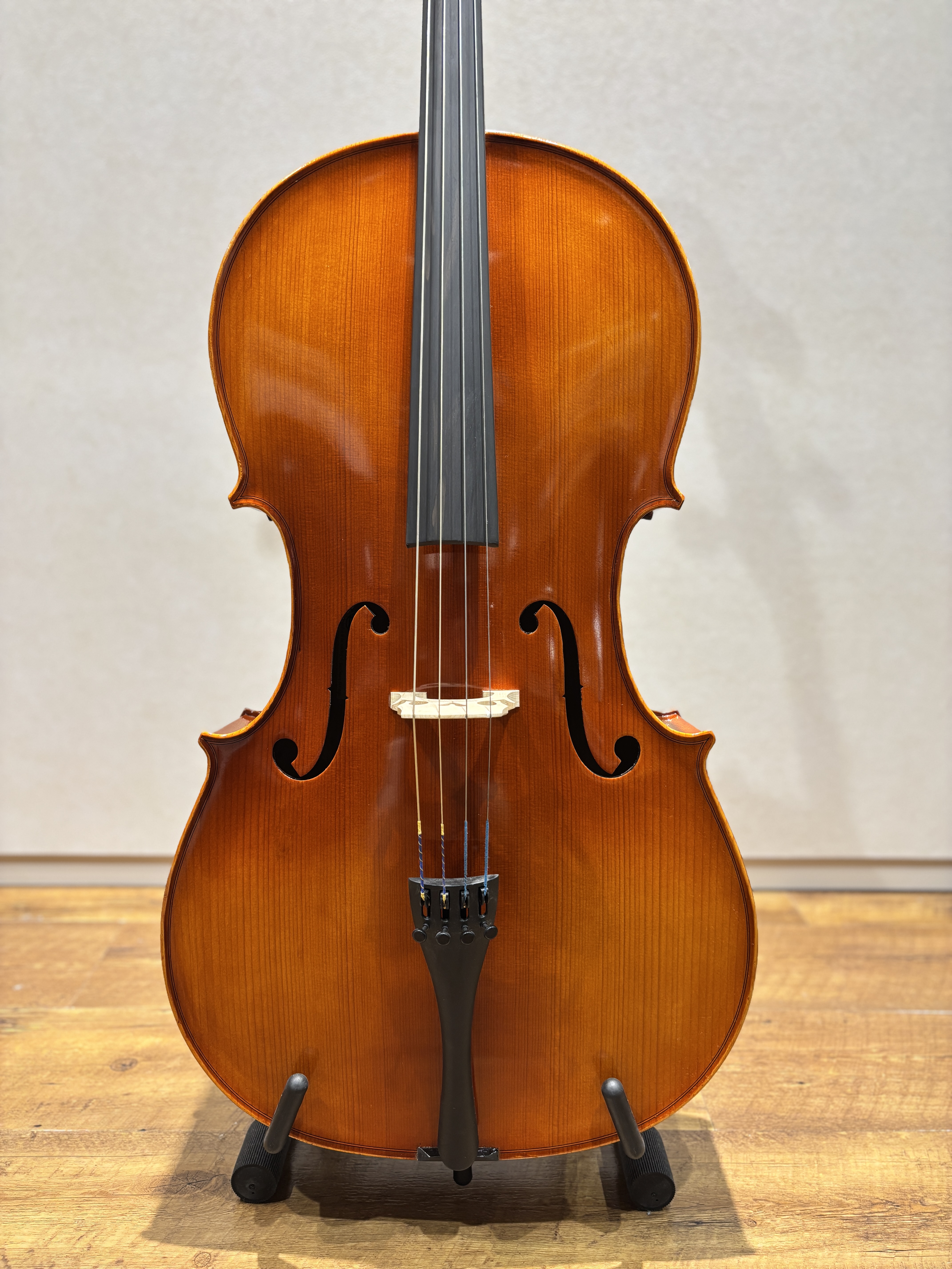 Eastman(イーストマン)VC100 SET