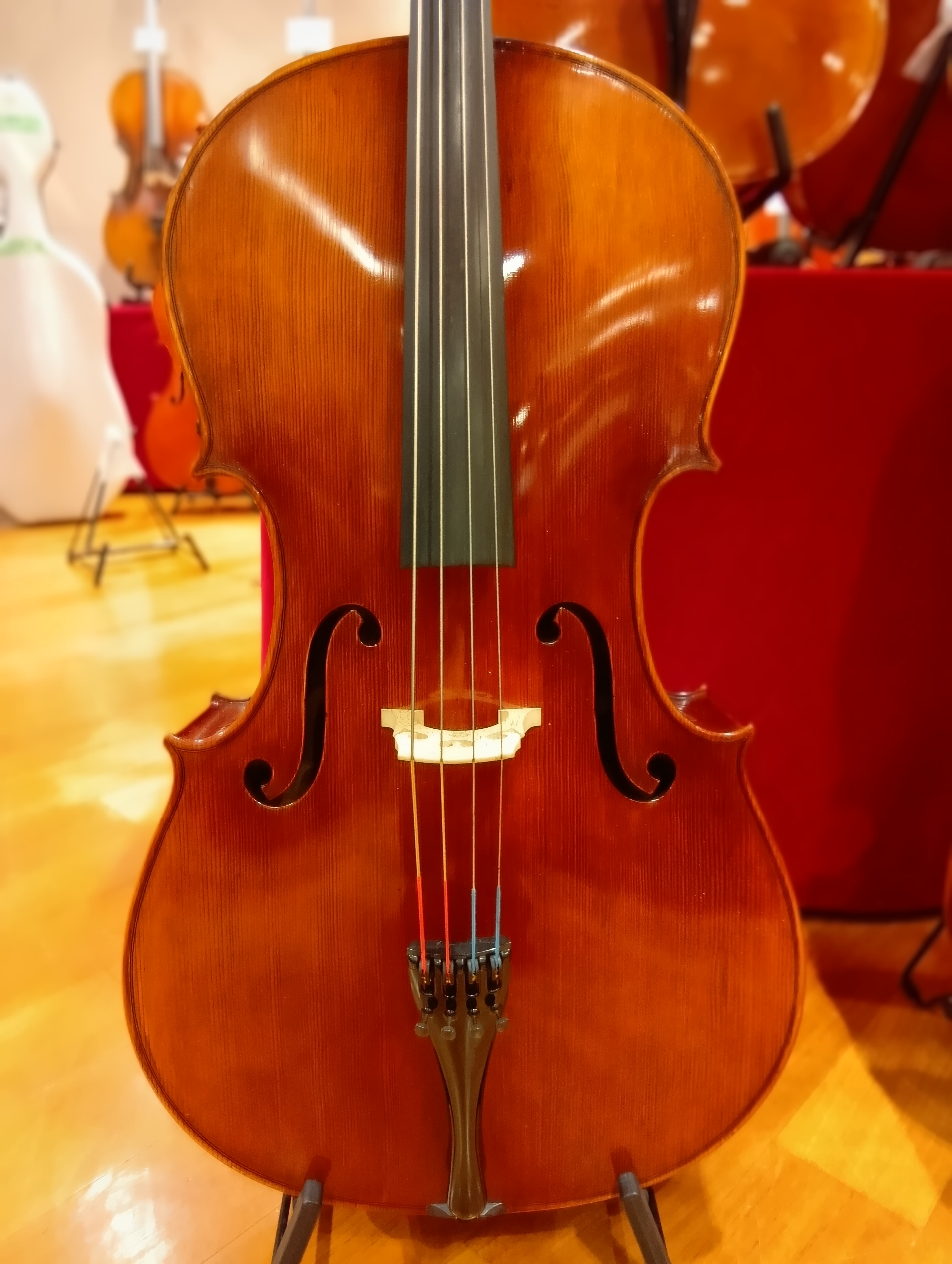 Balazs Akos（バラス・アコス）　ハンガリーAKOS VC GLD SER.       