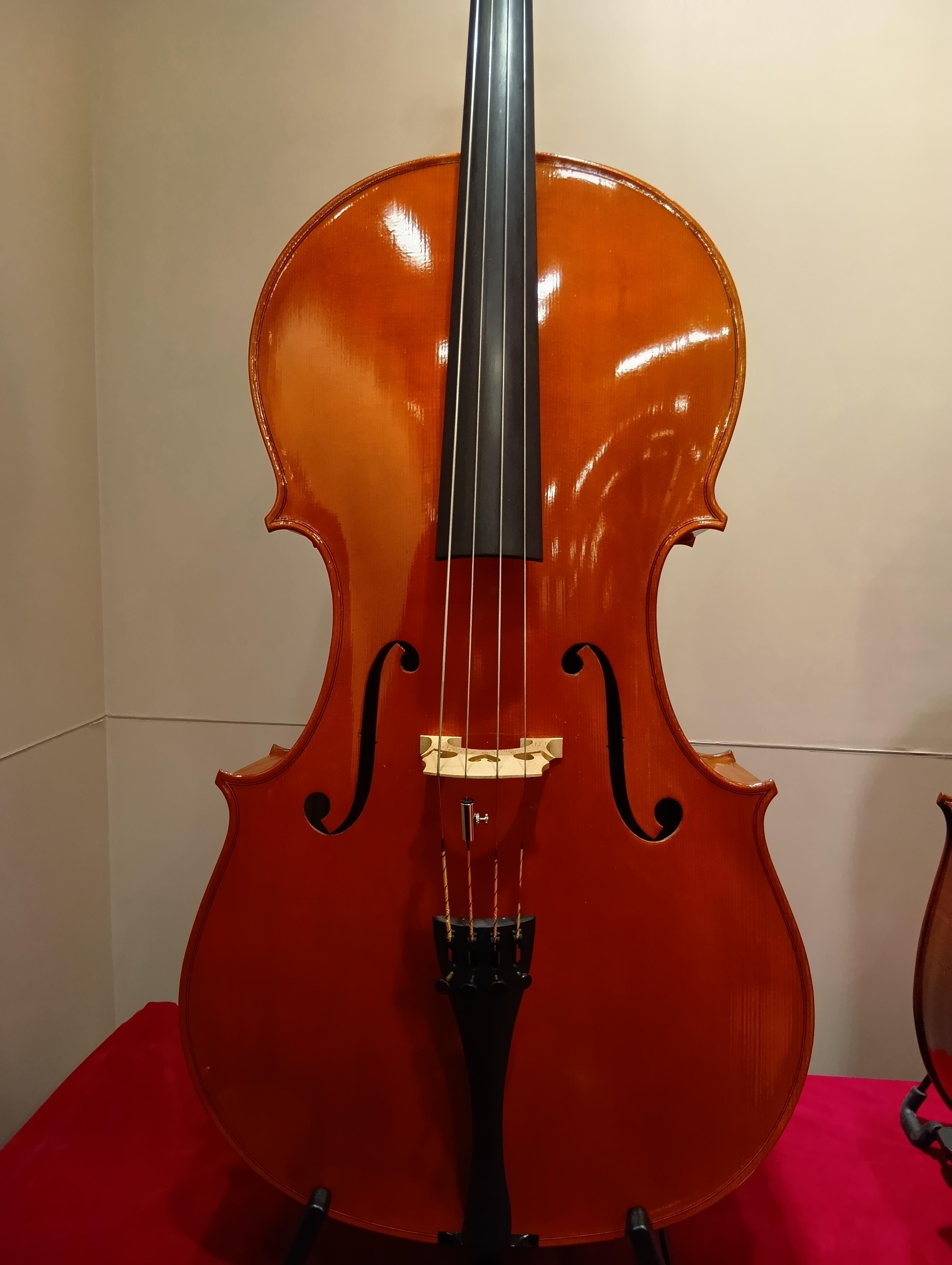 Andrea Solzi7/8, Italy – Cremona, 2023