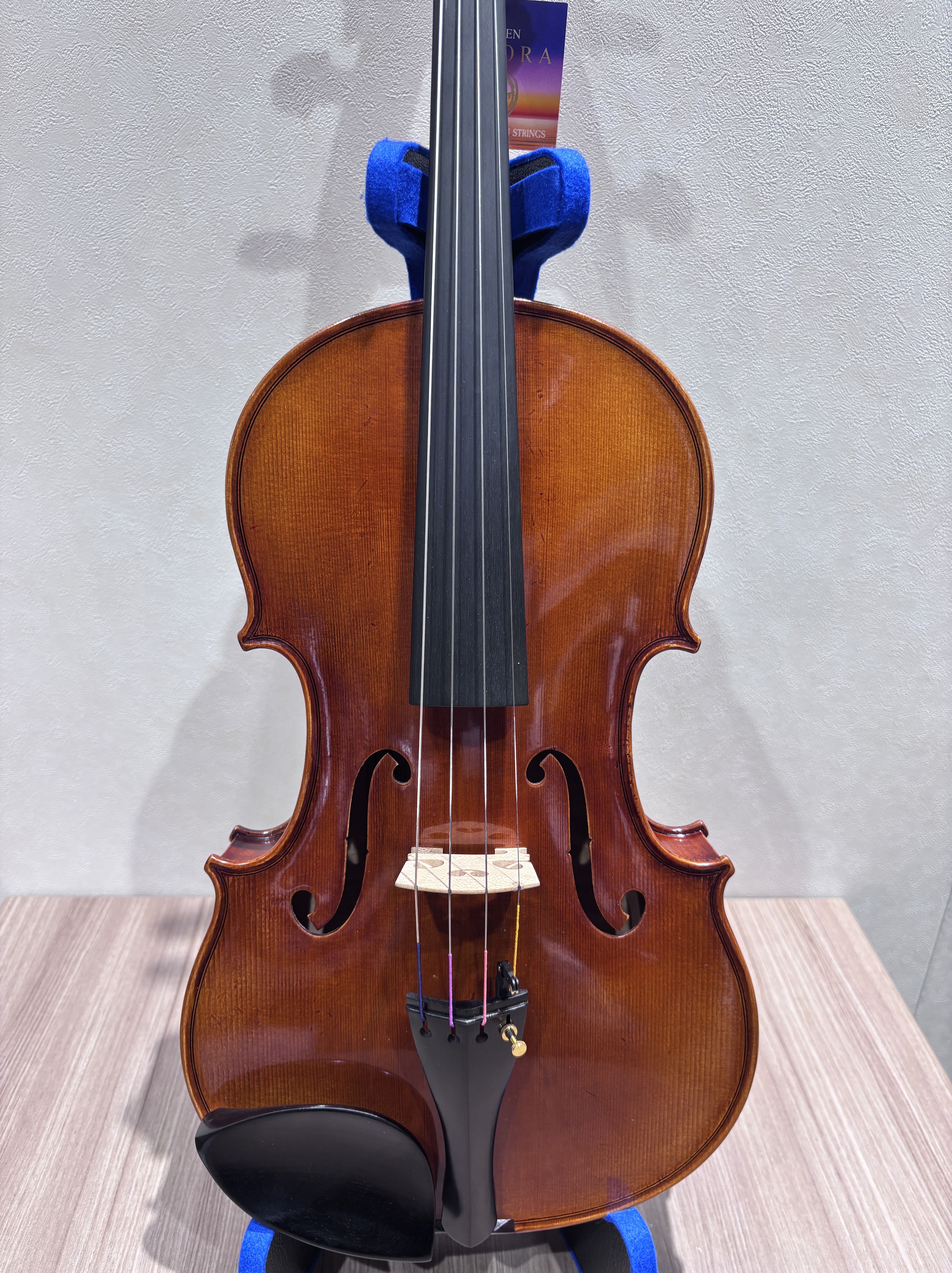 GEWA　ビオラセットVa 39.5cm