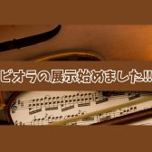 【弦楽器】奥深い中低音が魅力🎵 ビオラの展示を新しくはじめました！