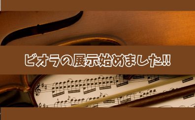 【弦楽器】奥深い中低音が魅力🎵 ビオラの展示を新しくはじめました！