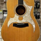 アコギをもっとオシャレに！！もっと個性的に！！～生成AIを活用したカスタマイズ術～