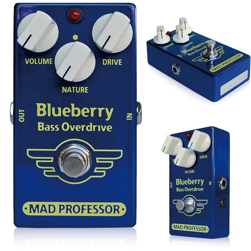 Blueberry Bass Overdrive