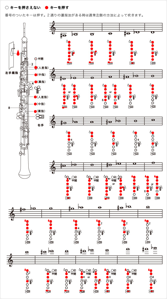 管楽器販売のプロが徹底解説 オーボエはじめの基礎知識 楽器の選び方 年秋 愛知 名古屋版 名古屋パルコ店 店舗情報 島村楽器