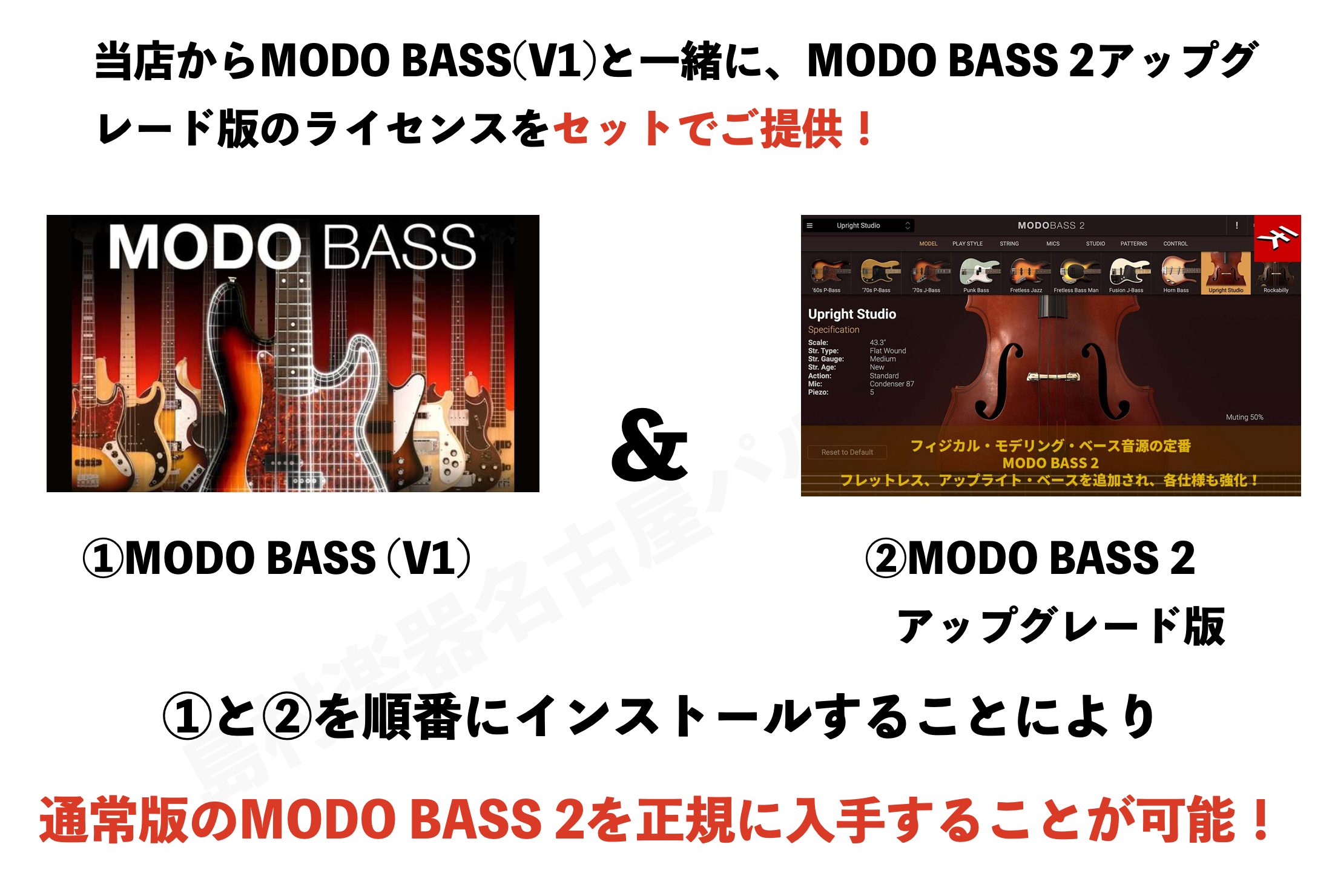 MODO BASS2 買い合わせ版物理モデリング音源