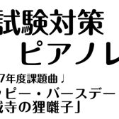【保育士ピアノサロン】大人の予約制レッスン