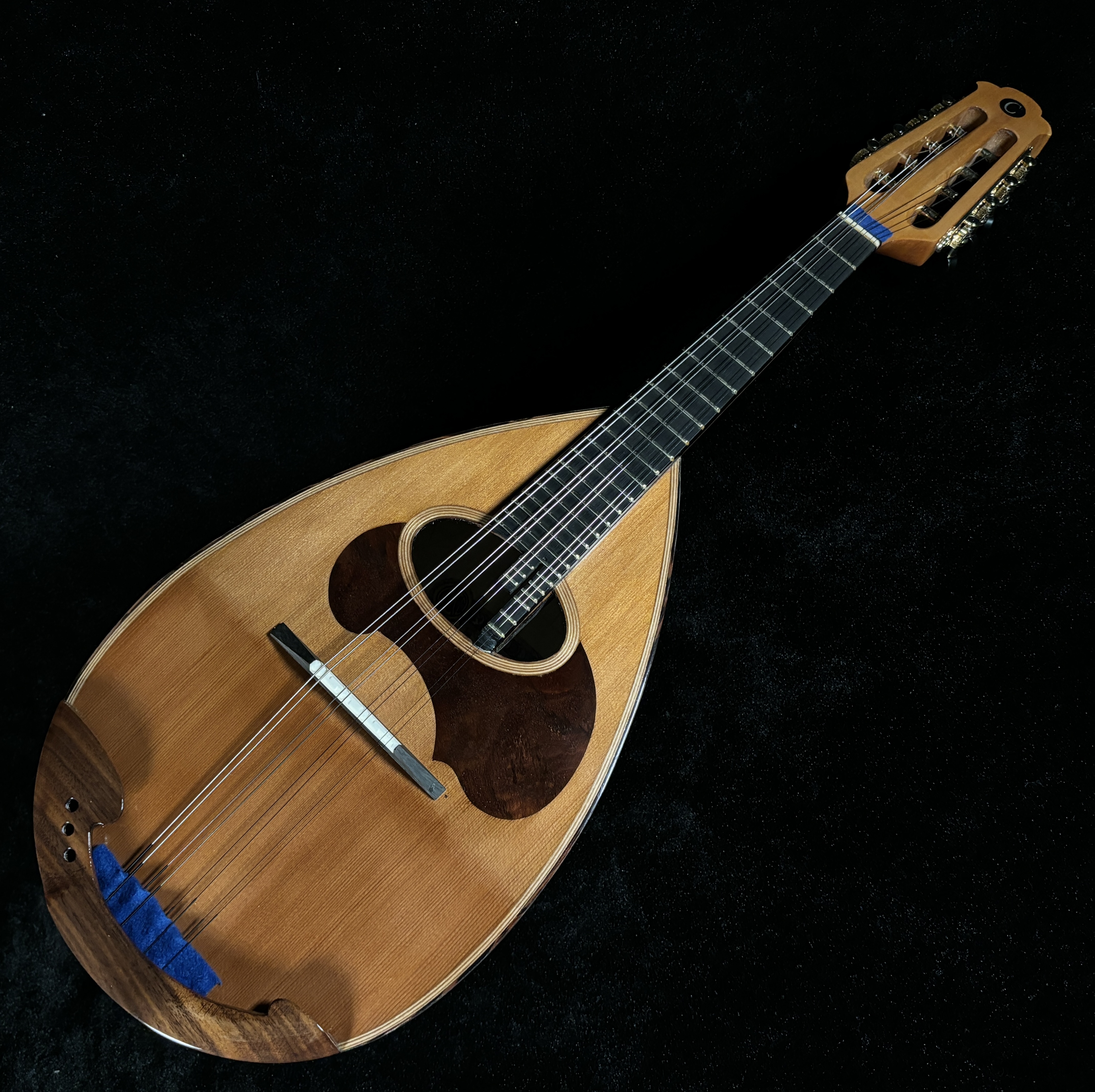 カラーチェ　マンドリンクラシコD 杉 トップセラック