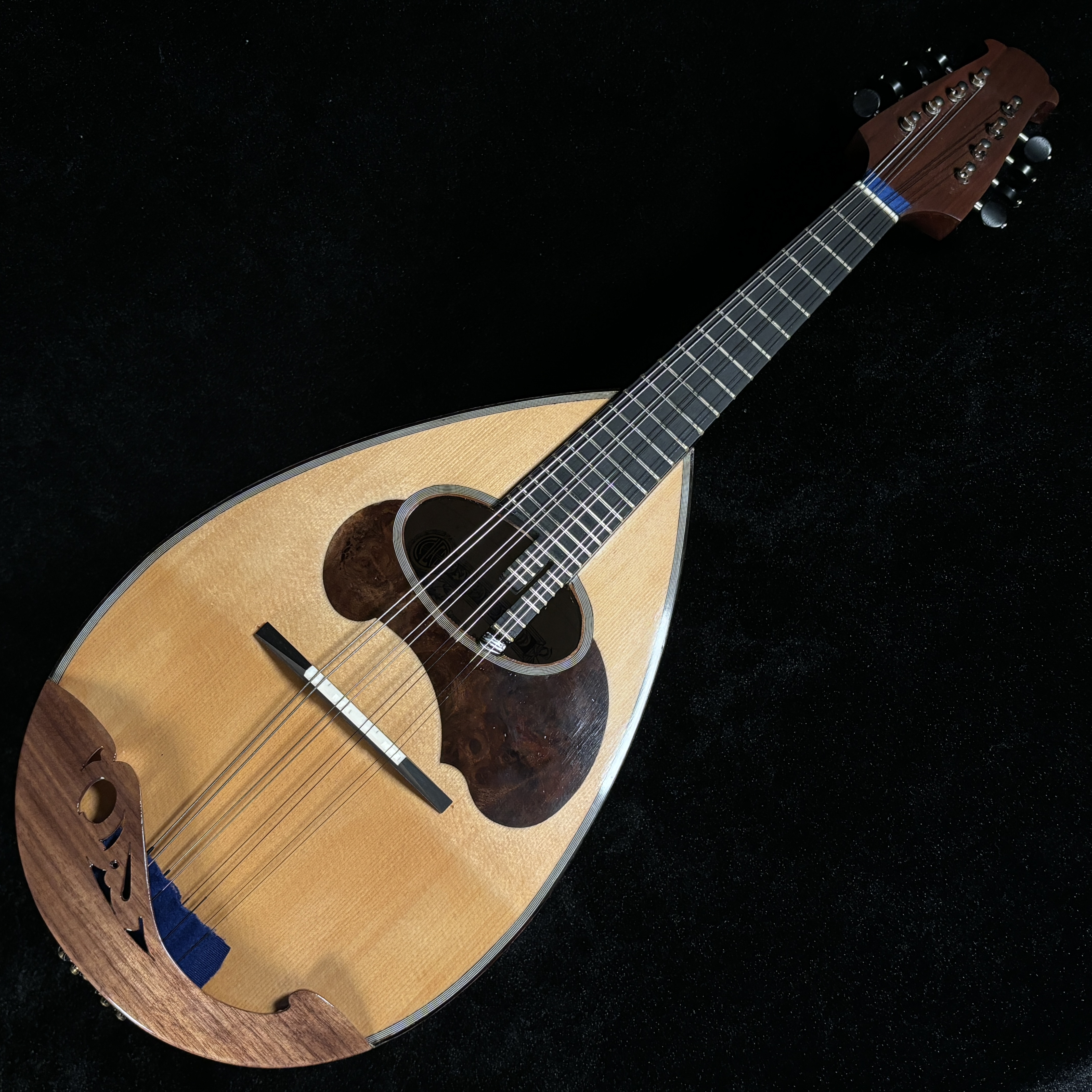 カラーチェ　マンドリンクラシコC 松 トップセラック