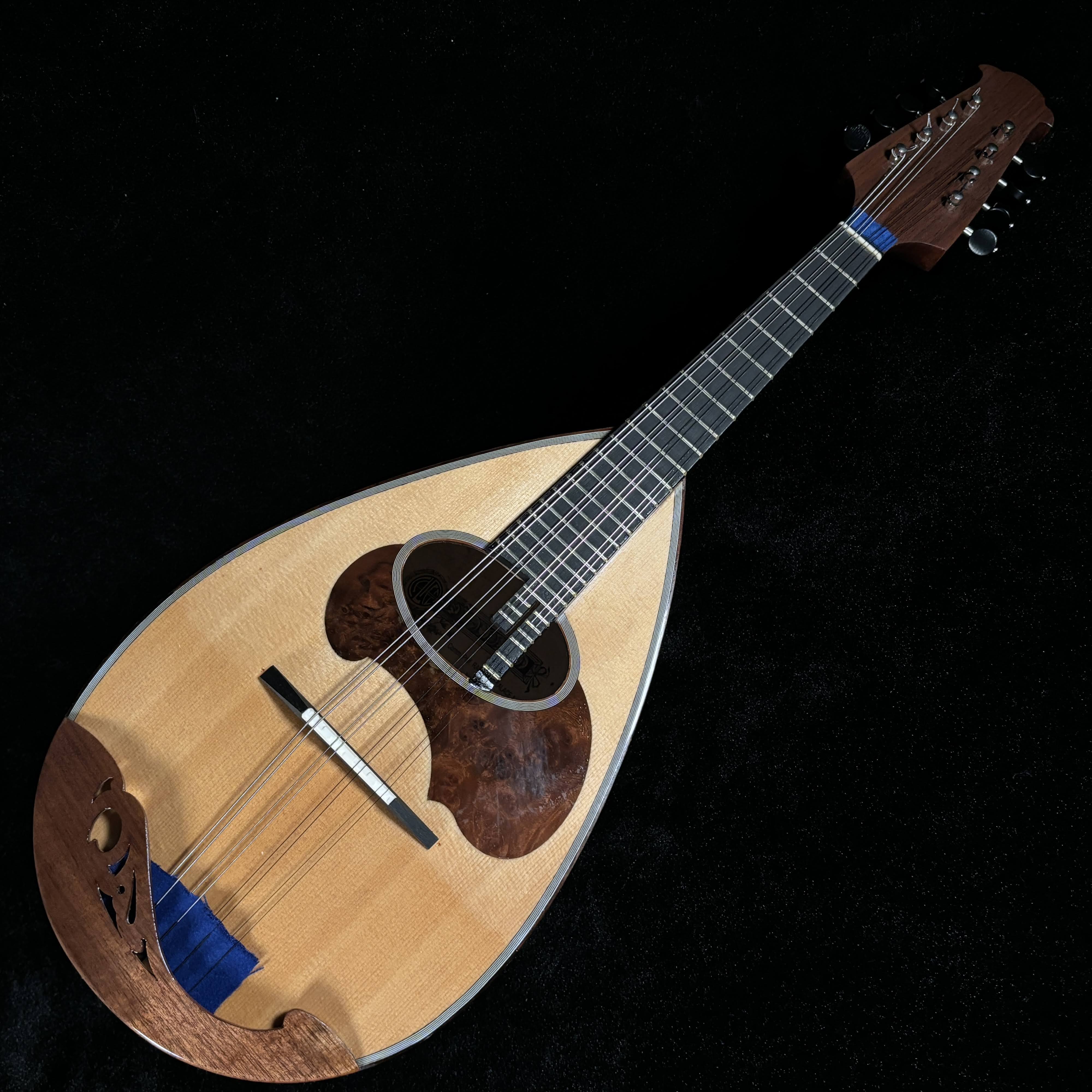 カラーチェ　マンドリンクラシコB 松 トップセラック