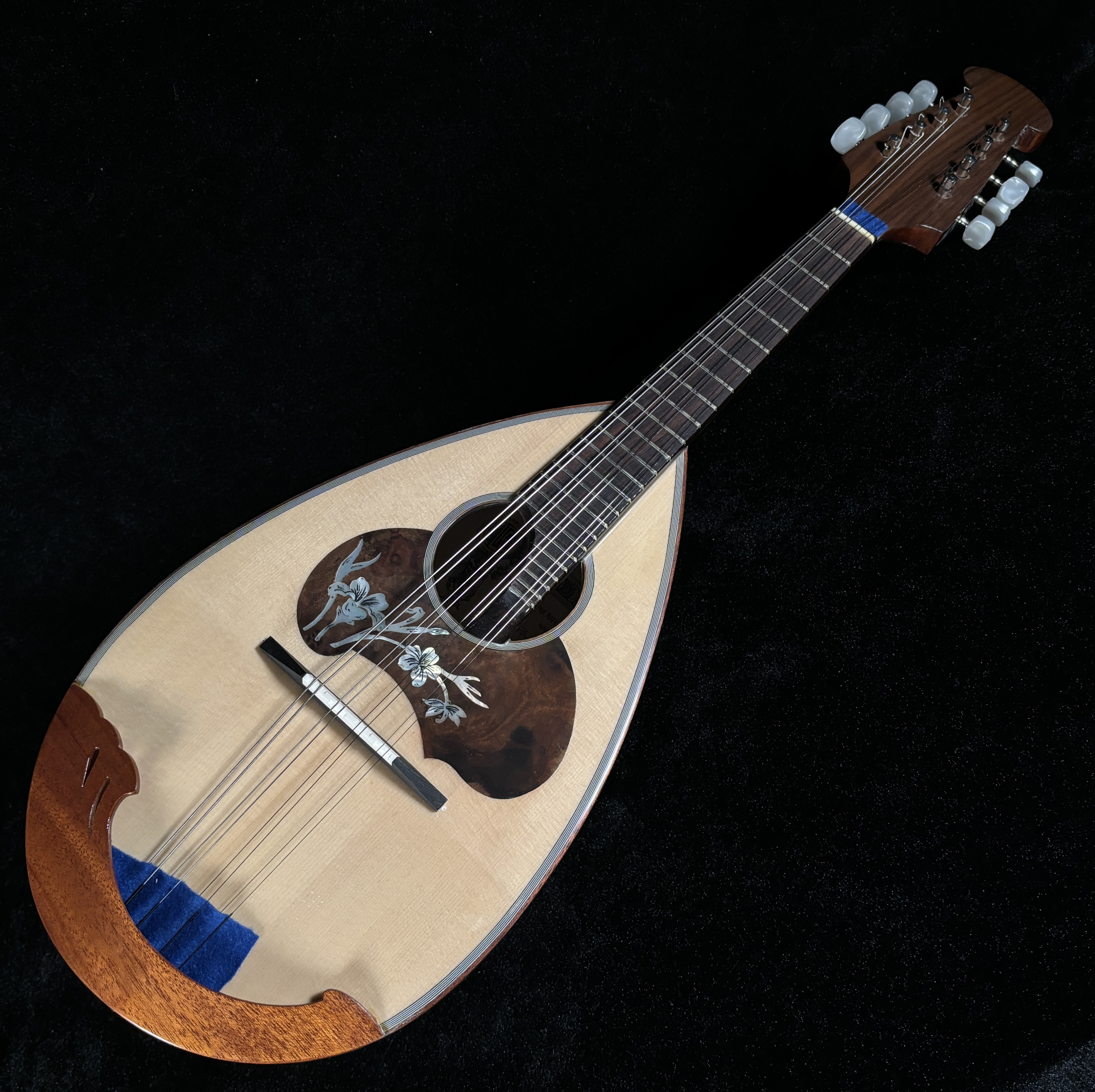 カラーチェ　マンドリンNo.26M 松