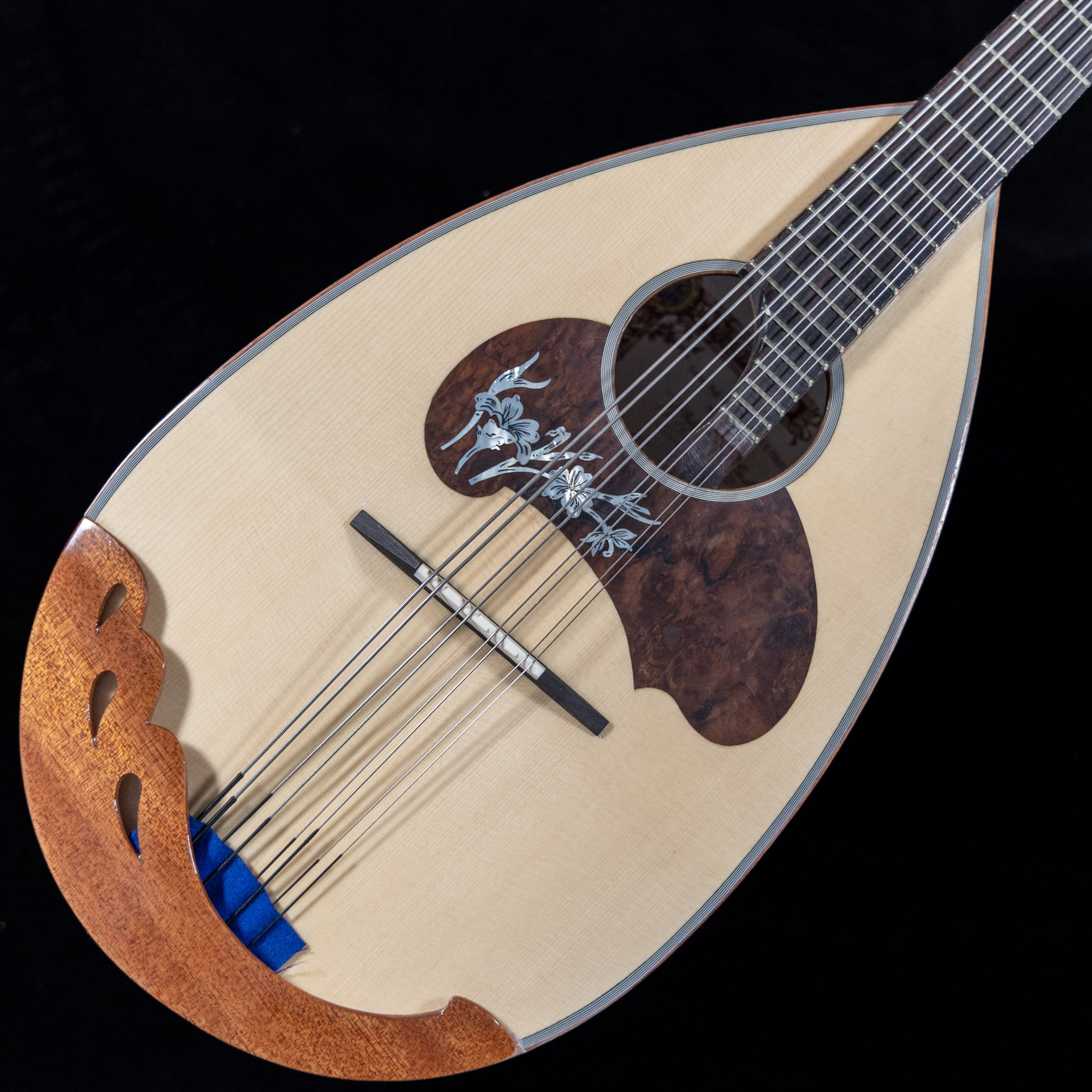 カラーチェ　マンドラNo 26