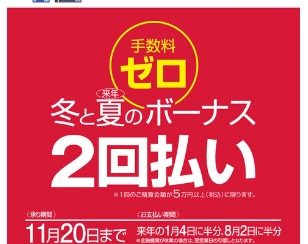イオンカードでかしこいショッピング　冬と、来年夏のボーナス2回払い　手数料ゼロ♪