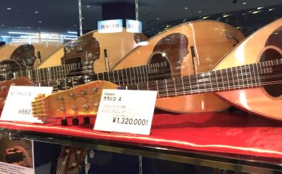 【マンドリン：名古屋市】マンドリン　お取り扱い開始致しました