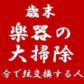 【楽器の大掃除】年末恒例！！楽器を大掃除！！～自分で弦交換する人編～