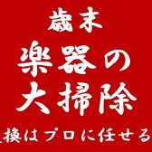 【楽器の大掃除】年末恒例！！楽器を大掃除！！～弦交換はやっぱりプロに任せる人編～
