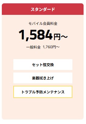 トラブル予防に効果抜群!安心のオススメ弦交換プランスタンダード弦交換