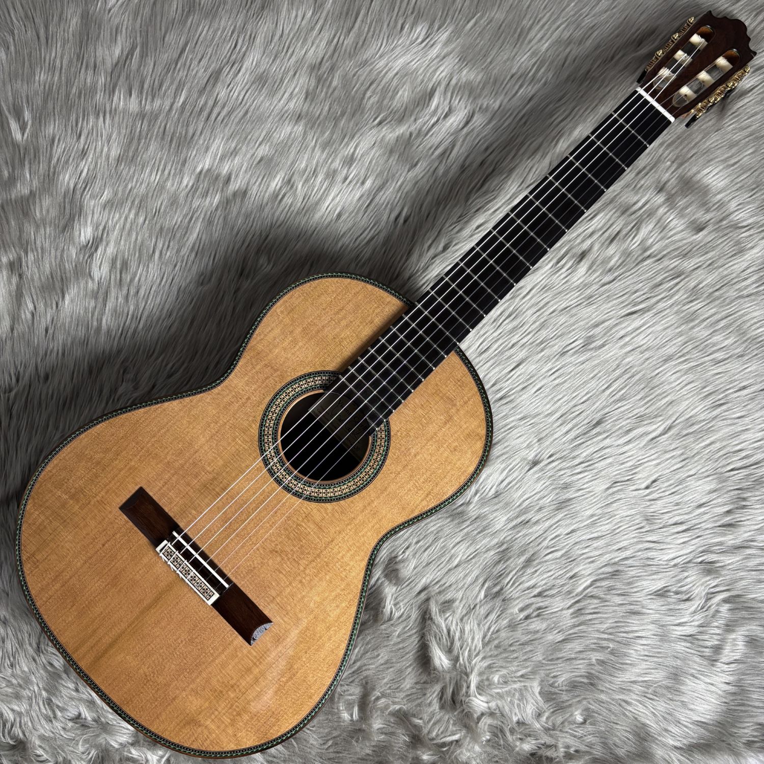 Vicente CarrilloMaestro NOMEX/C/650