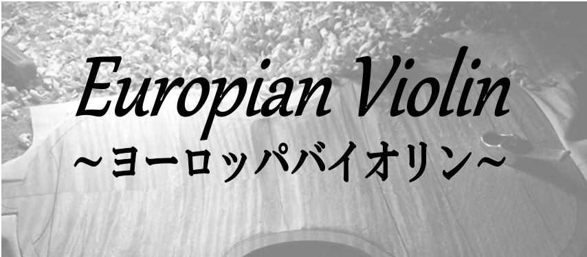 【弦楽器】欧州買付バイオリン展示品のご紹介