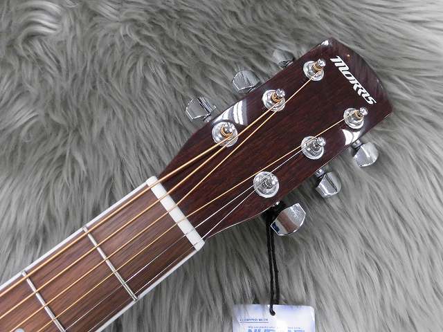 新着情報】MORRIS R-401が5本入荷！【アコースティックギター】｜島村