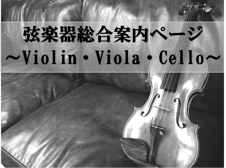 【関西/奈良/弦楽器】バイオリン・ビオラ・チェロのことなら島村楽器ミ・ナーラ奈良店へ！