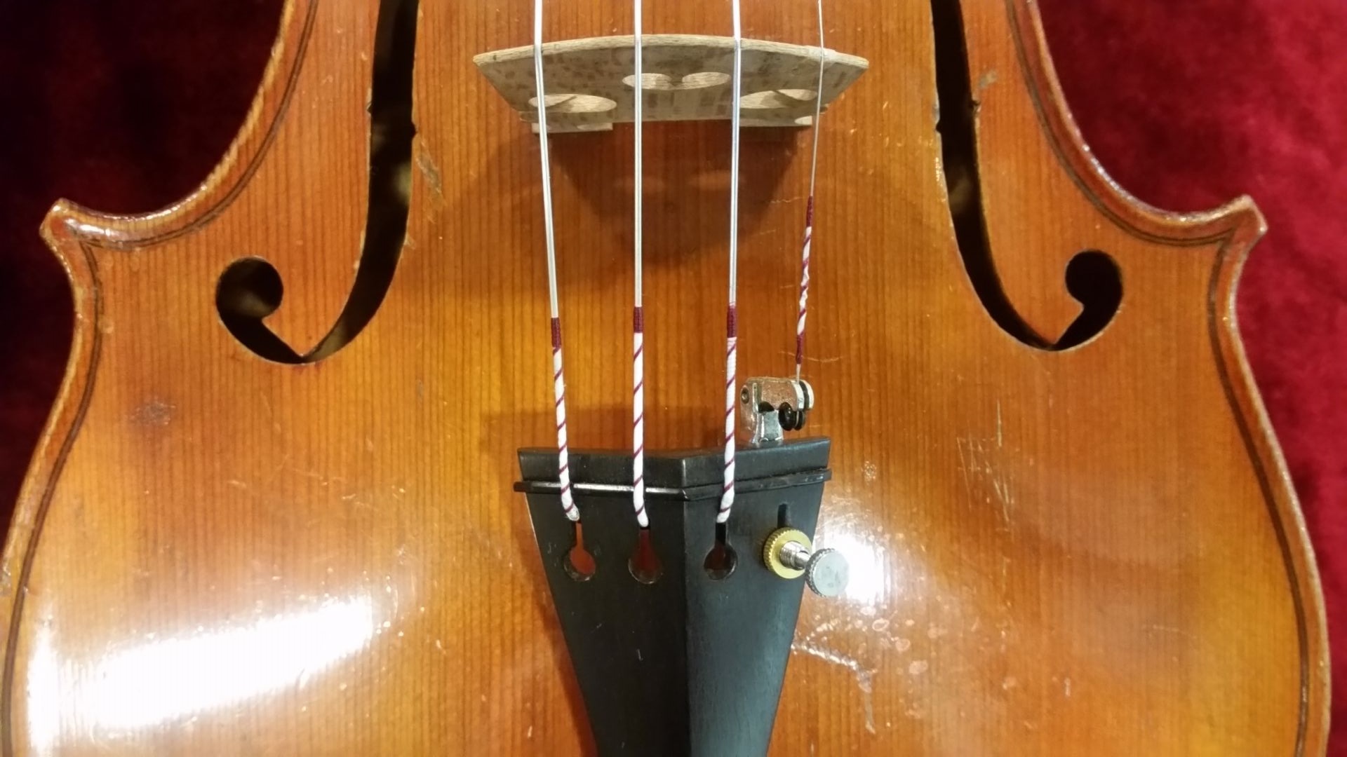 パーペチュアル　バイオリン　弦