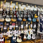 【忖度なし！】元ギタリスト・現楽器店員がガチでオススメする国産ストラト5選！【2023秋/冬版】